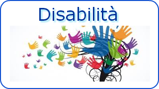 logo-disabilita